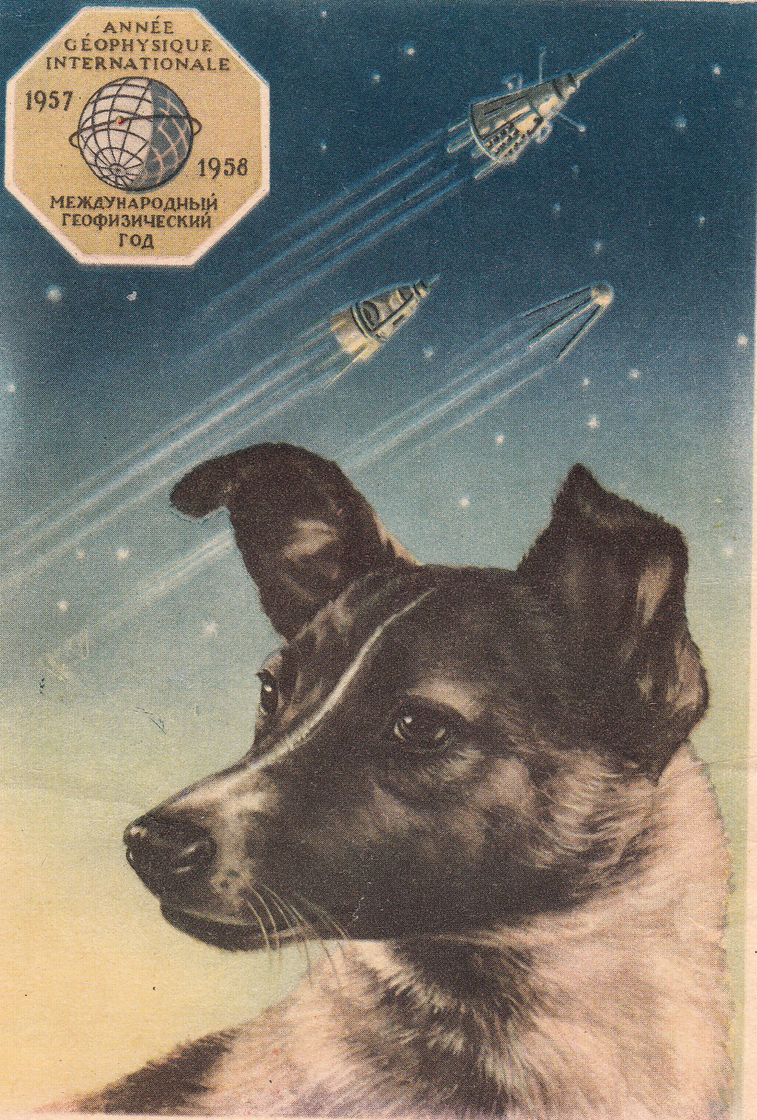 Применение собак открытка