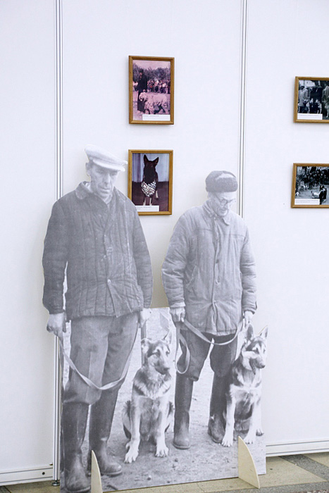 Выставка музея собаководства к 90 летию ДОСААФ