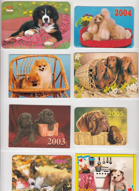 Календарик с собакой фотосалон