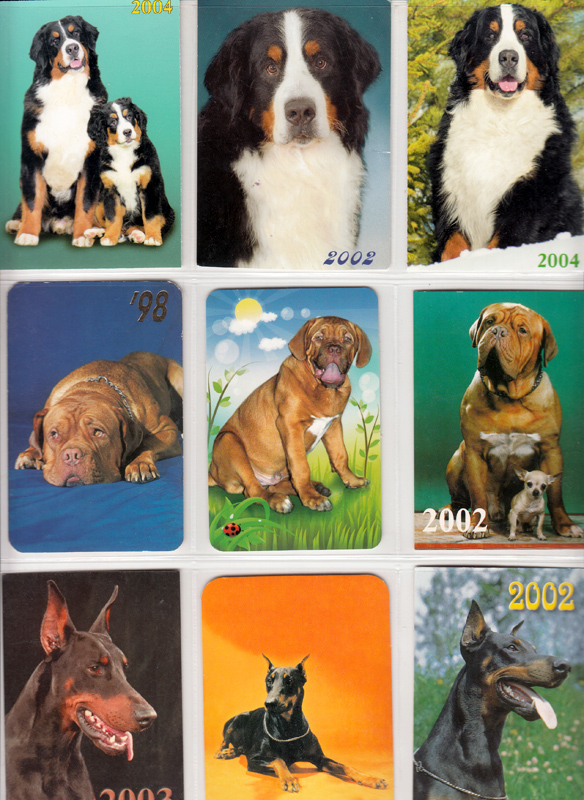 Календарик породы собак