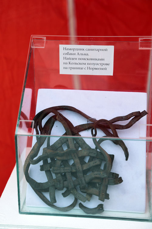 К 80-летию Победы экспозиция и выступление с собаками