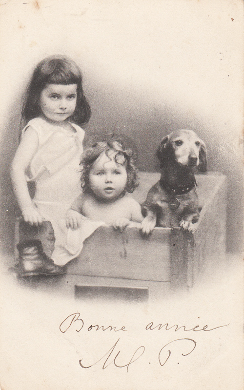 Дети и собаки открытка