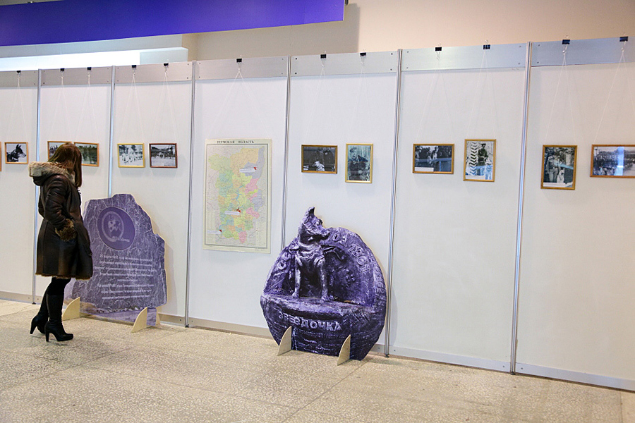 «Огни Прикамья - 2015» международная выставка собак