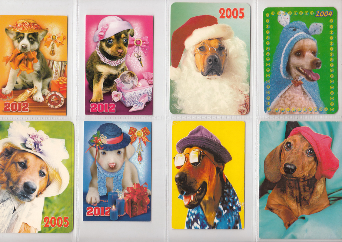 Календарик с собакой фотосалон