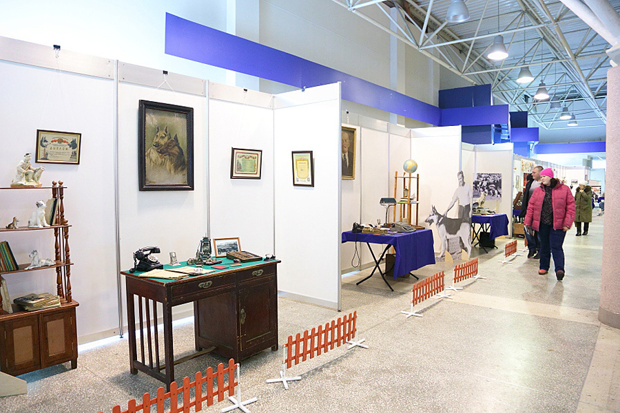 «Огни Прикамья - 2015» международная выставка собак