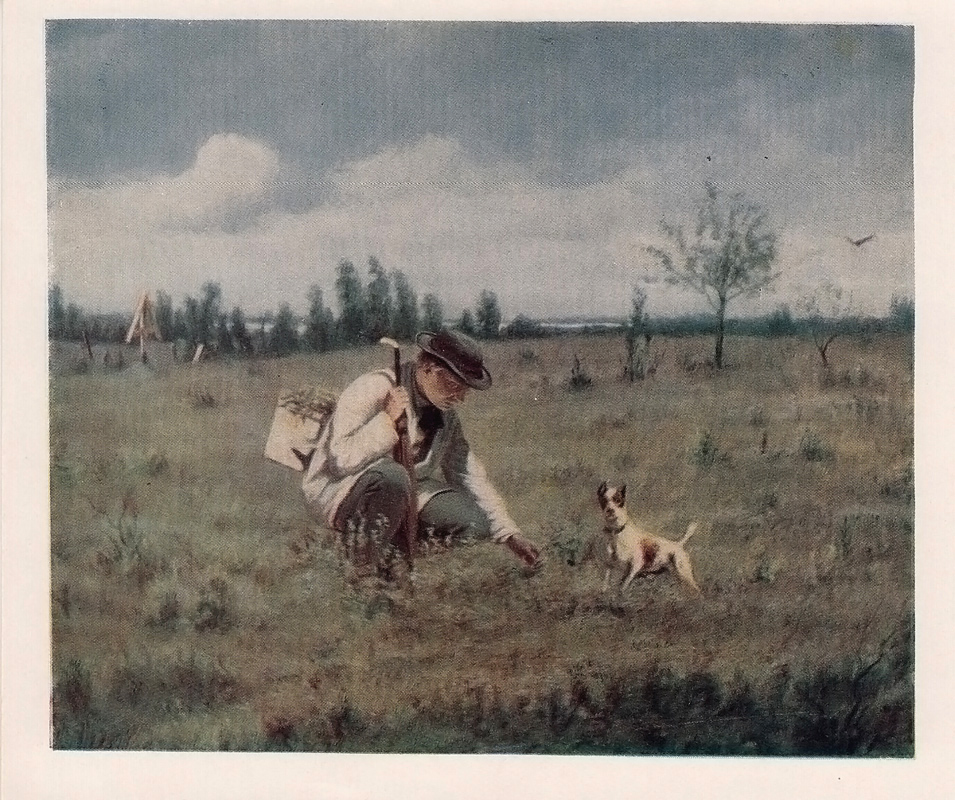 Собаки в искусстве открытка