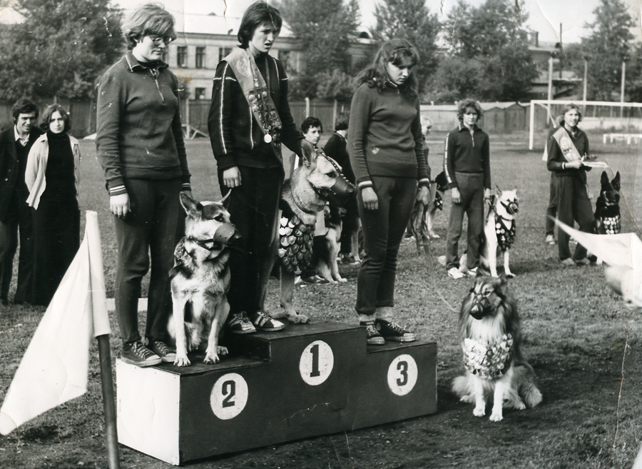 Собаки победители соревнований