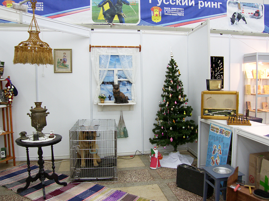 Интернациональная выставка собак «Огни Прикамья - 2014»