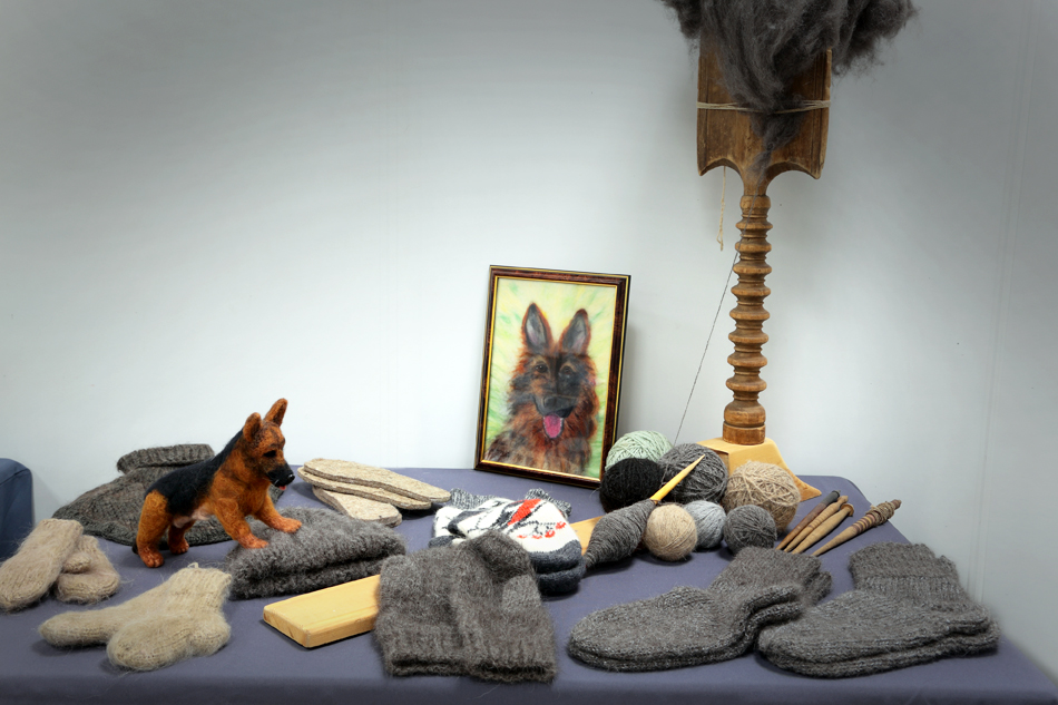«Огни Прикамья - 2019» международная выставка собак