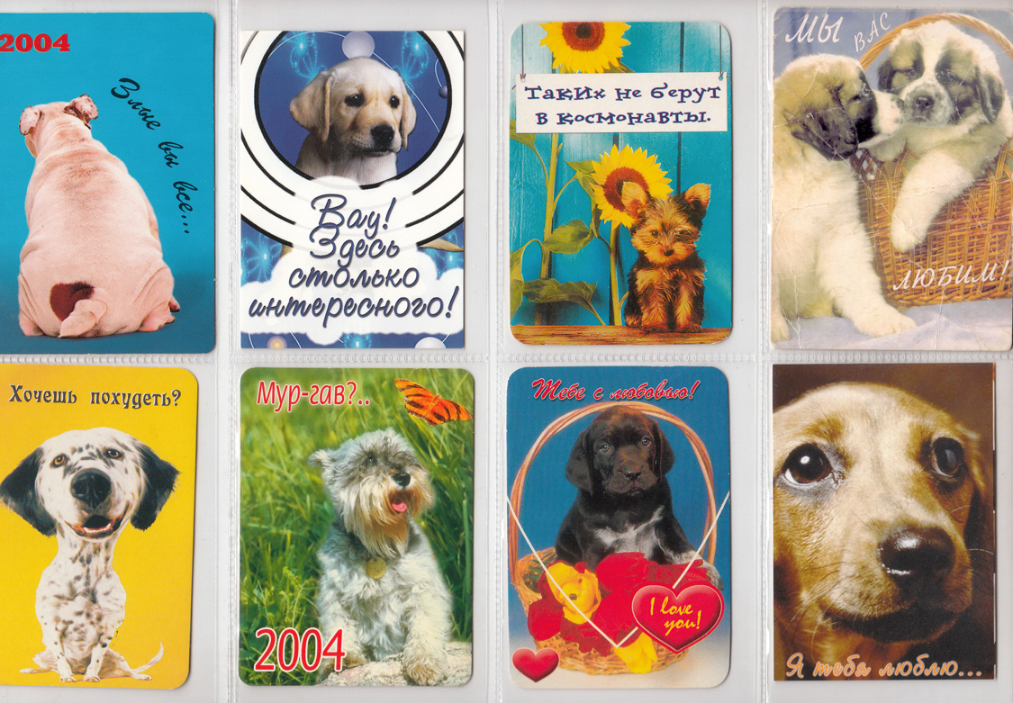Календарики с собакой и надписью