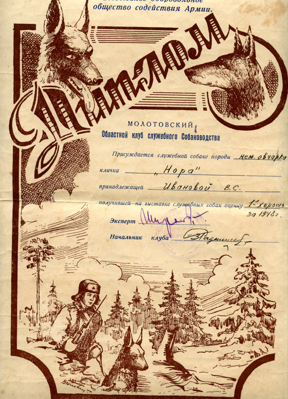 Диплом за экстерьер 1948 год